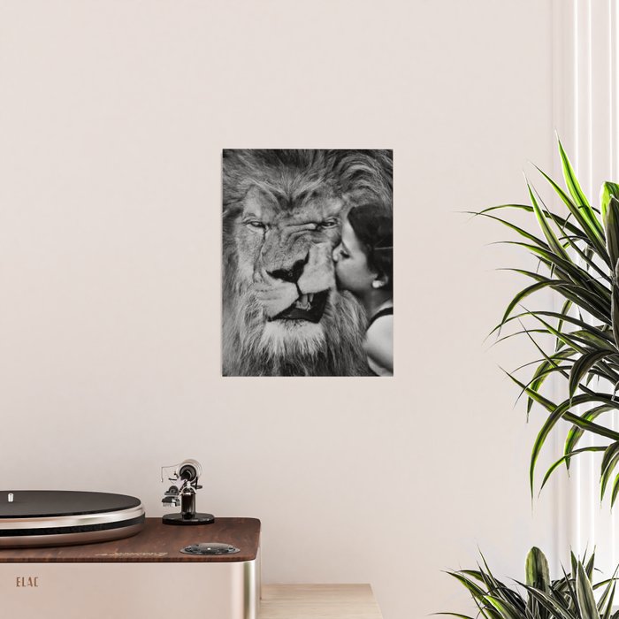Grouchy Lion being kissed by brunette girl black and white photography Poster Gallery Image 2
