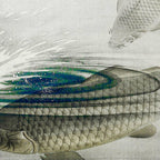 Three Carp Fish in the lake - Vintage Japanese Woodblock Print Art 1900s. Coffee Mug Gallery Image 2