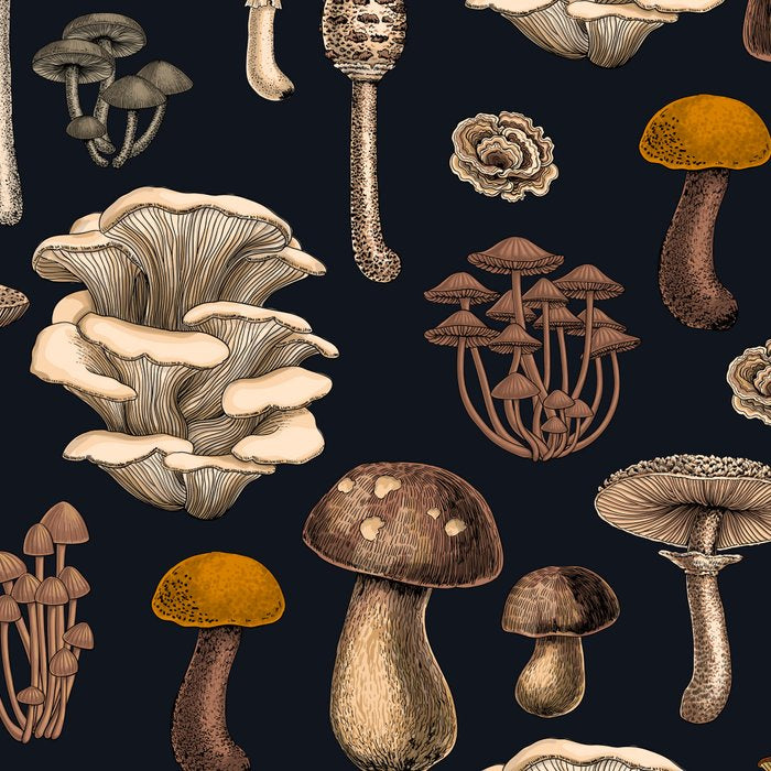 Wild Mushrooms  on graphite black Coffee Mug Gallery Image 2