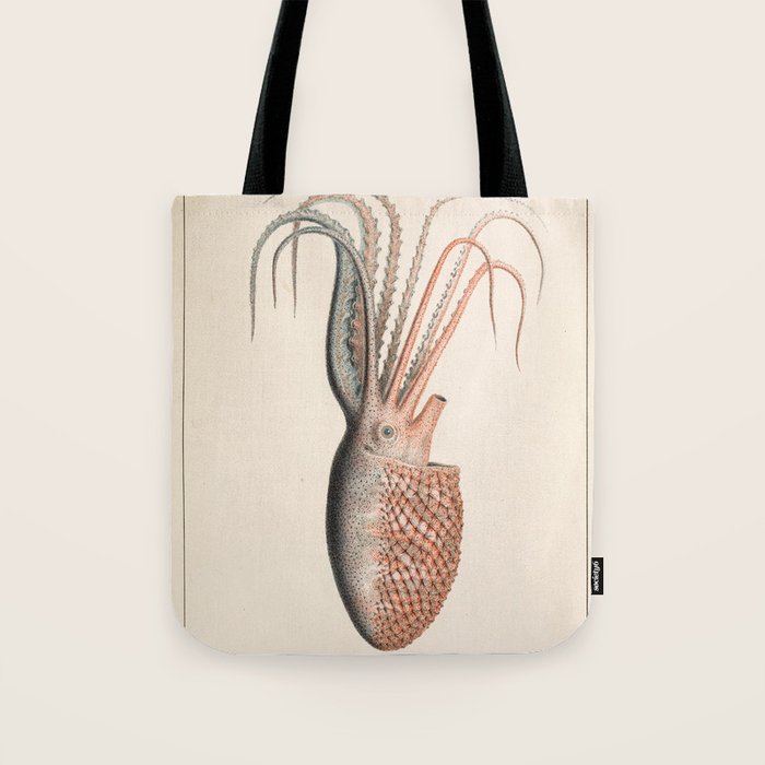 Octopus from "Mollusques Méditeranéens" by Jean Baptiste Vérany, 1851 Tote Bag Gallery Image 1