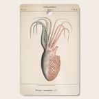 Octopus from "Mollusques Méditeranéens" by Jean Baptiste Vérany, 1851 Cutting Board Gallery Image 1