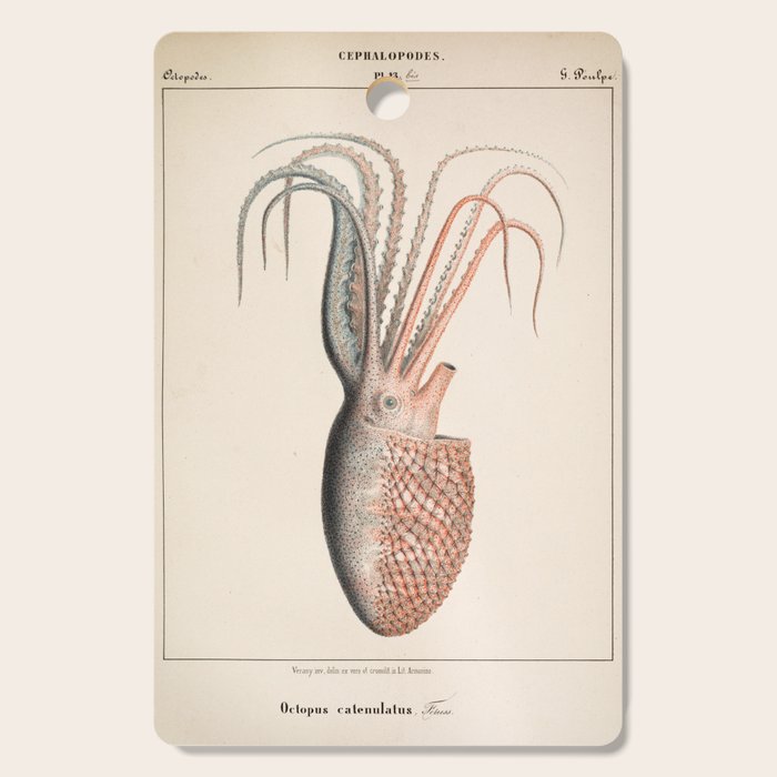 Octopus from "Mollusques Méditeranéens" by Jean Baptiste Vérany, 1851 Cutting Board Gallery Image 1