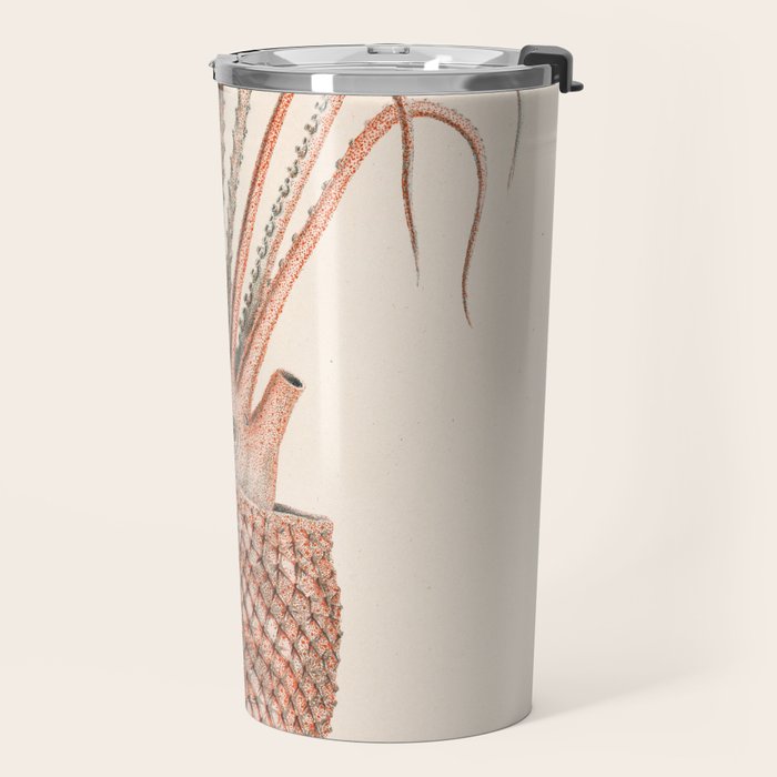 Octopus from "Mollusques Méditeranéens" by Jean Baptiste Vérany, 1851 Travel Mug Gallery Image 2