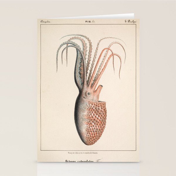 Octopus from "Mollusques Méditeranéens" by Jean Baptiste Vérany, 1851 Stationery Card Gallery Image 1