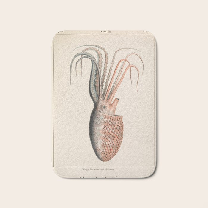 Octopus from "Mollusques Méditeranéens" by Jean Baptiste Vérany, 1851 Bath Mat Gallery Image 1