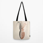 Octopus from "Mollusques Méditeranéens" by Jean Baptiste Vérany, 1851 Tote Bag Gallery Image 2