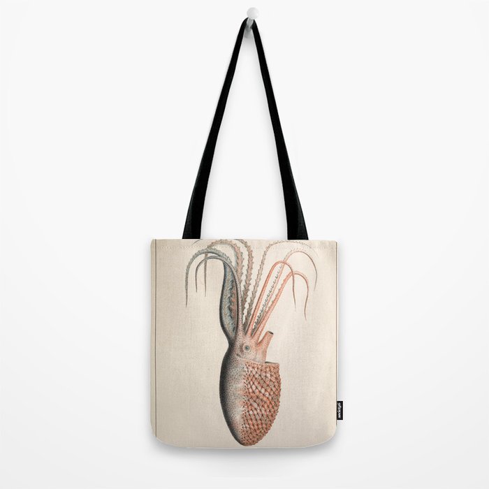 Octopus from "Mollusques Méditeranéens" by Jean Baptiste Vérany, 1851 Tote Bag Gallery Image 2