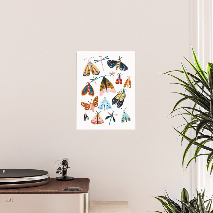 Moth Species Poster Gallery Image 2