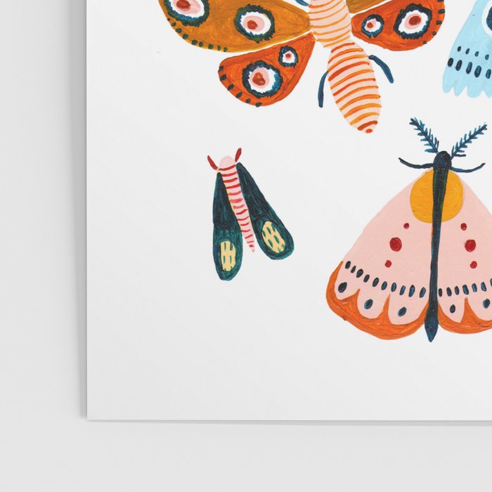 Moth Species Poster Gallery Image 3