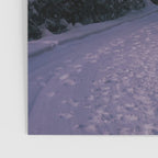 Snowy Path Poster Gallery Image 3