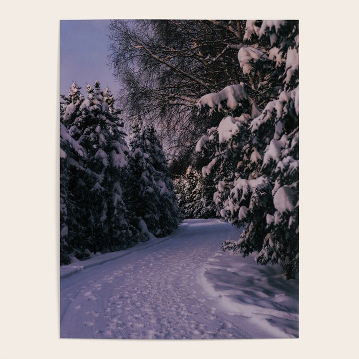Snowy Path Poster Gallery Image 4