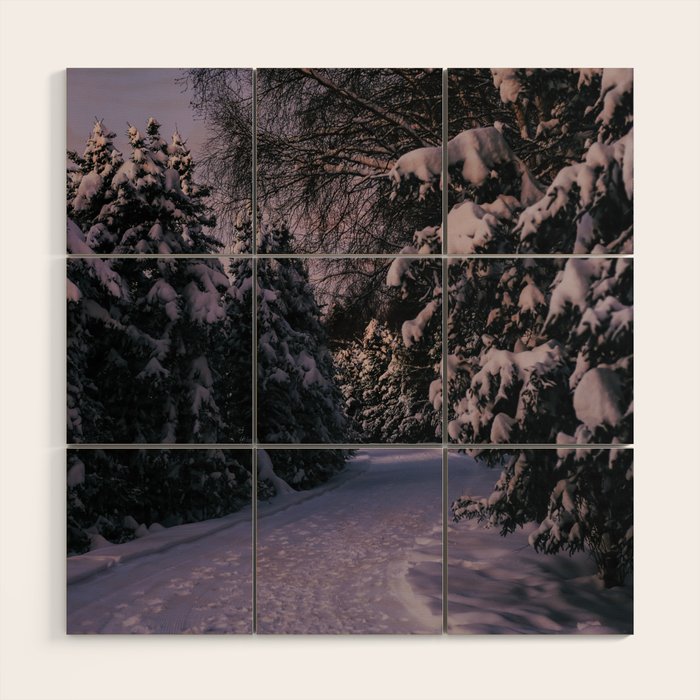 Snowy Path Wood Wall Art Gallery Image 2