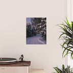 Snowy Path Poster Gallery Image 2