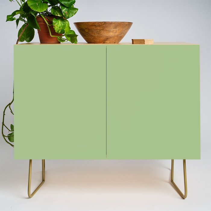 Solid Light Sage Green  Credenza Gallery Image 1