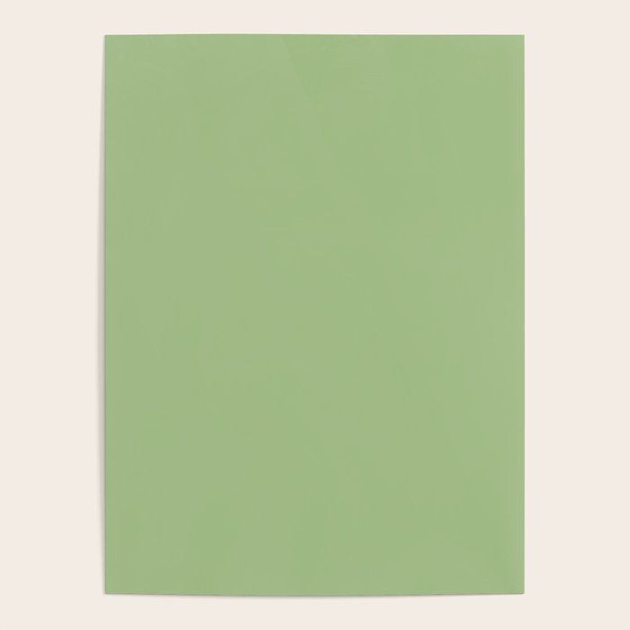Solid Light Sage Green  Poster Gallery Image 4