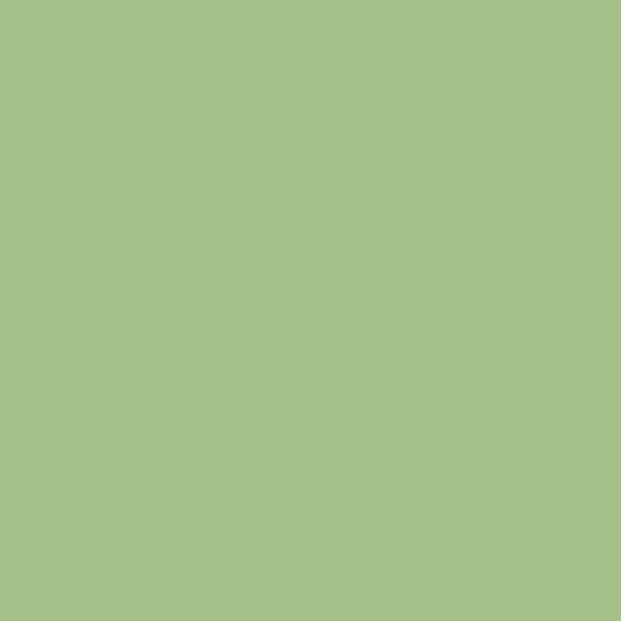 Solid Light Sage Green  Coffee Mug Gallery Image 2