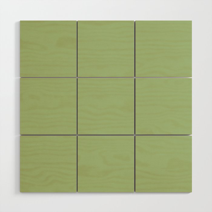 Solid Light Sage Green  Wood Wall Art Gallery Image 1
