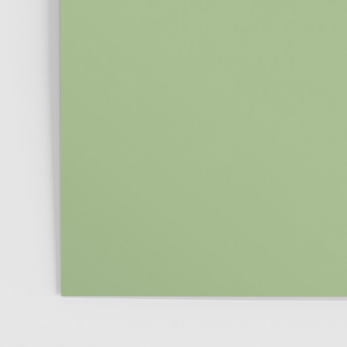 Solid Light Sage Green  Poster Gallery Image 3