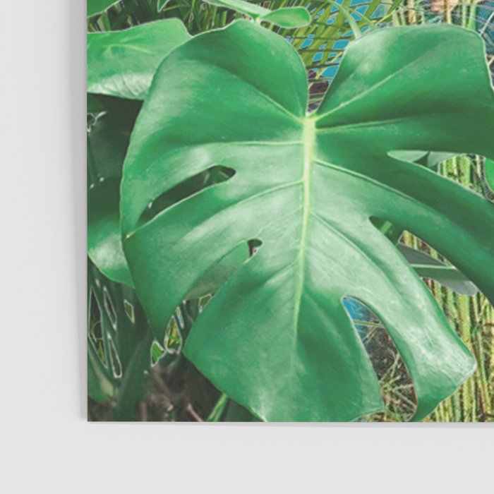Jane of the Jungle Poster Gallery Image 3
