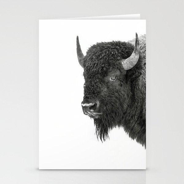 Bison Black and White Wildlife Photography Square Stationery Card Gallery Image 1
