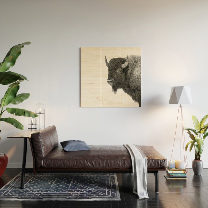 Bison Black and White Wildlife Photography Square Wood Wall Art Gallery Image 2