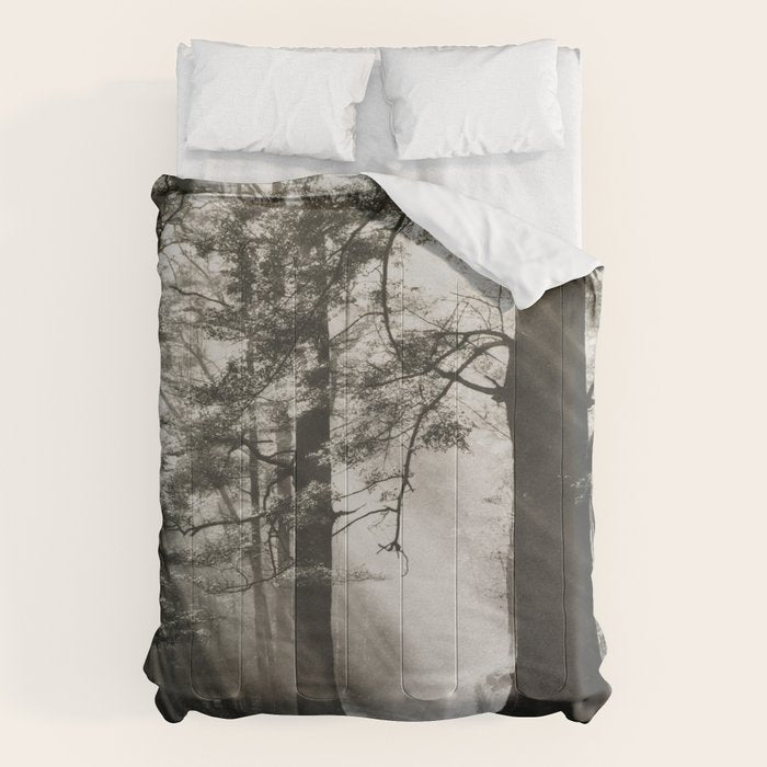 Pathway of light, sunlight and sunbeams in forest black and white photograph by J W Chapman Taylor Comforter Gallery Image 6