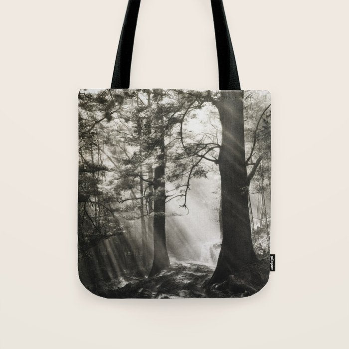 Pathway of light, sunlight and sunbeams in forest black and white photograph by J W Chapman Taylor Tote Bag Gallery Image 1