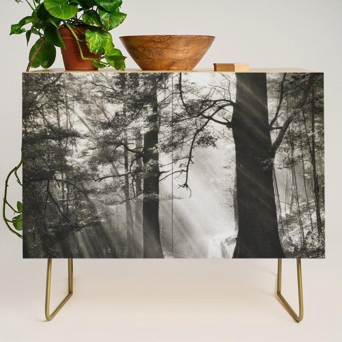 Pathway of light, sunlight and sunbeams in forest black and white photograph by J W Chapman Taylor Credenza Gallery Image 1