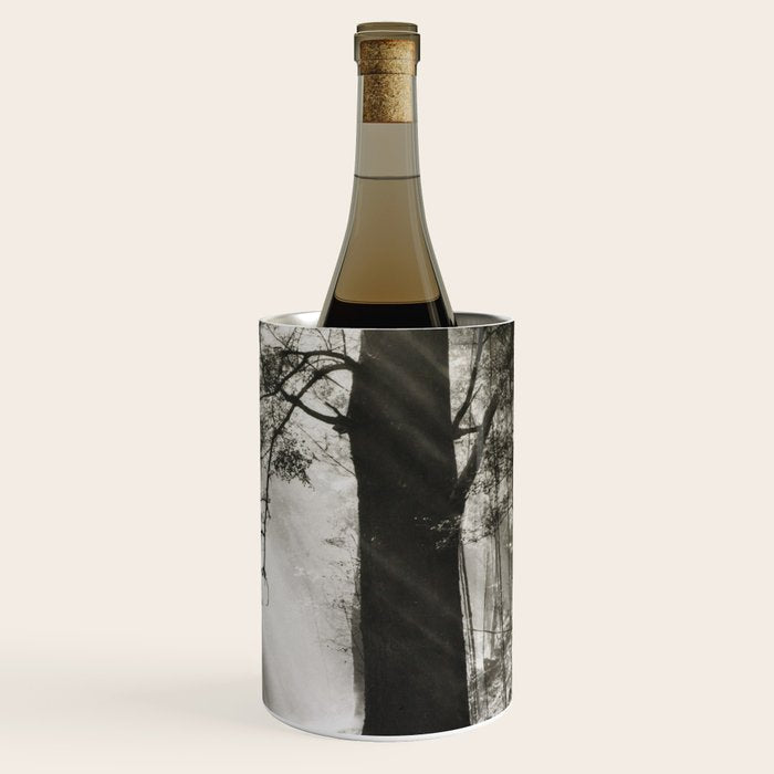 Pathway of light, sunlight and sunbeams in forest black and white photograph by J W Chapman Taylor Wine Chiller Gallery Image 3
