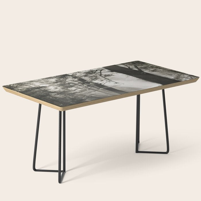 Pathway of light, sunlight and sunbeams in forest black and white photograph by J W Chapman Taylor Coffee Table Gallery Image 1