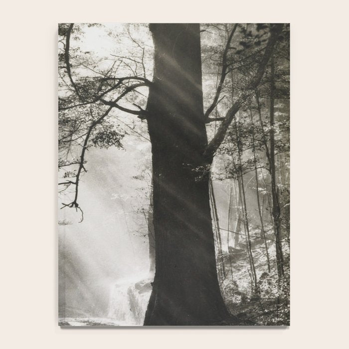Pathway of light, sunlight and sunbeams in forest black and white photograph by J W Chapman Taylor Notebook Gallery Image 4