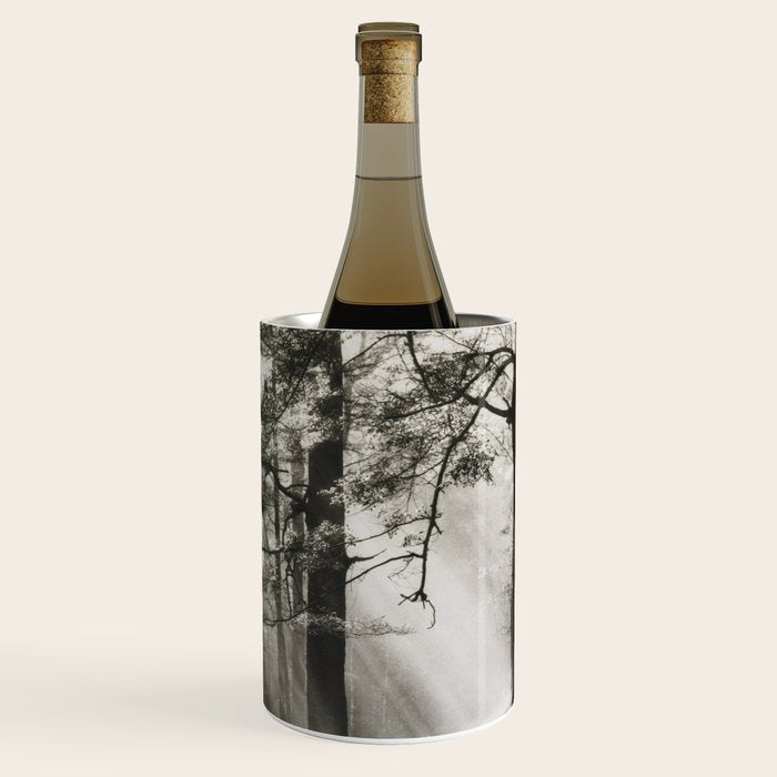 Pathway of light, sunlight and sunbeams in forest black and white photograph by J W Chapman Taylor Wine Chiller Gallery Image 1