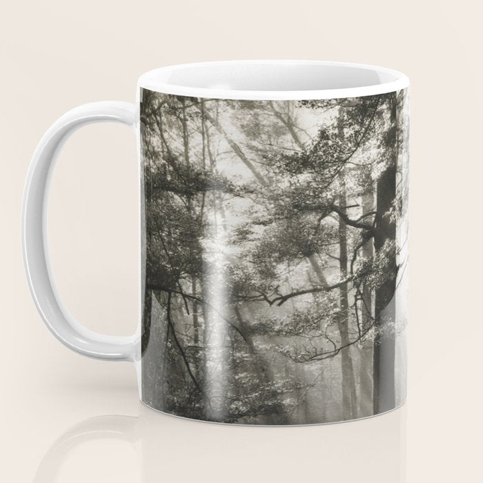 Pathway of light, sunlight and sunbeams in forest black and white photograph by J W Chapman Taylor Coffee Mug Gallery Image 3