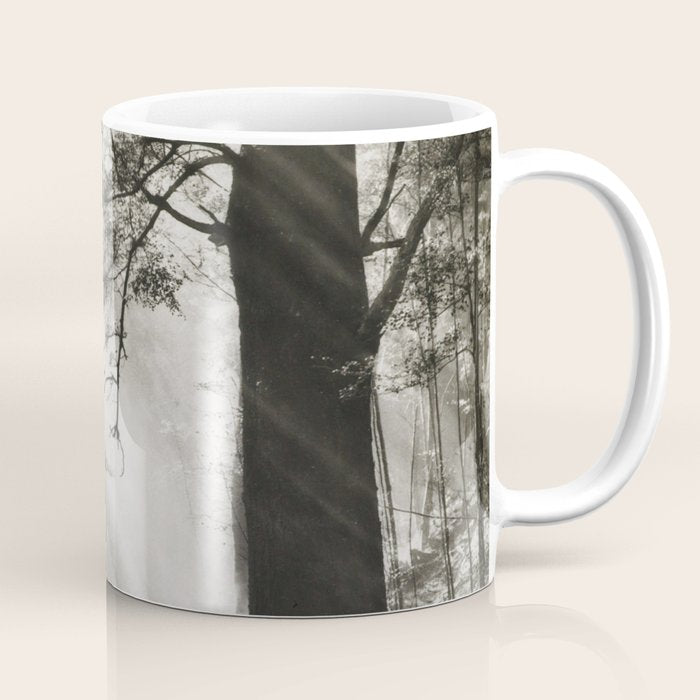 Pathway of light, sunlight and sunbeams in forest black and white photograph by J W Chapman Taylor Coffee Mug Gallery Image 1