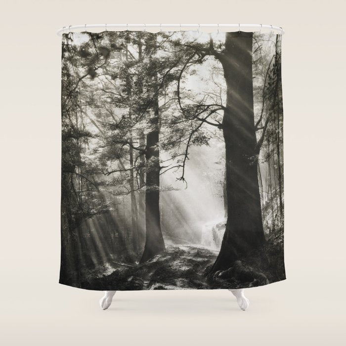 Pathway of light, sunlight and sunbeams in forest black and white photograph by J W Chapman Taylor Shower Curtain Gallery Image 1