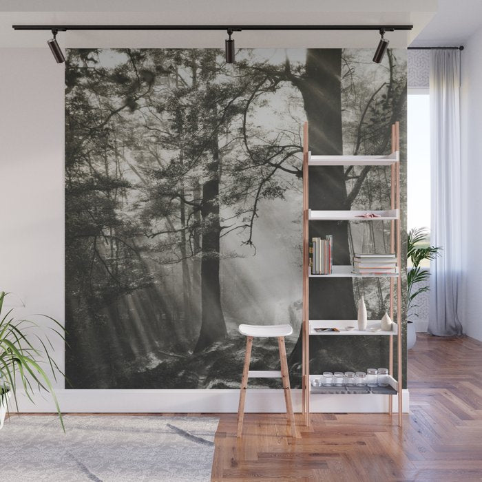 Pathway of light, sunlight and sunbeams in forest black and white photograph by J W Chapman Taylor Wall Mural Gallery Image 1
