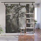 Pathway of light, sunlight and sunbeams in forest black and white photograph by J W Chapman Taylor Wall Mural Gallery Image 1