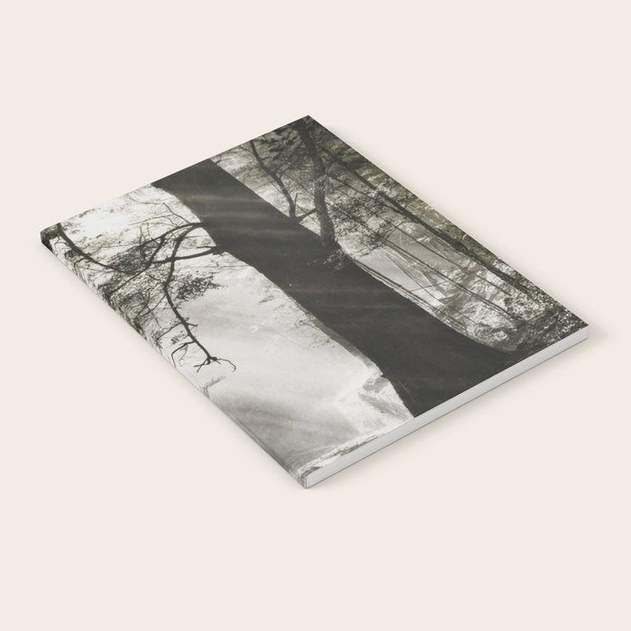 Pathway of light, sunlight and sunbeams in forest black and white photograph by J W Chapman Taylor Notebook Gallery Image 2