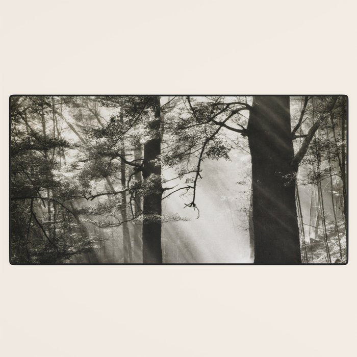 Pathway of light, sunlight and sunbeams in forest black and white photograph by J W Chapman Taylor Desk Mat Gallery Image 3