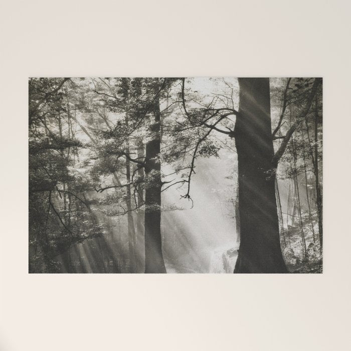 Pathway of light, sunlight and sunbeams in forest black and white photograph by J W Chapman Taylor Welcome Mat Gallery Image 1