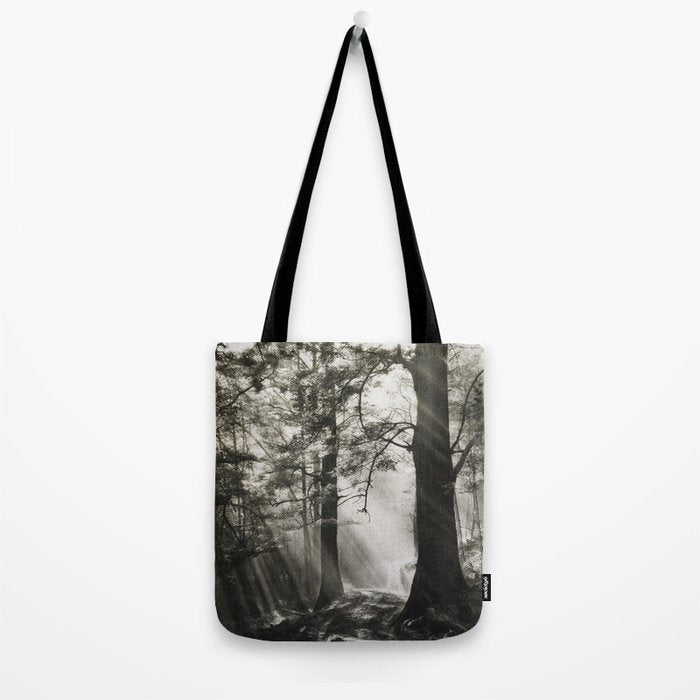 Pathway of light, sunlight and sunbeams in forest black and white photograph by J W Chapman Taylor Tote Bag Gallery Image 2