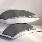 Pathway of light, sunlight and sunbeams in forest black and white photograph by J W Chapman Taylor Pillow Sham Gallery Image 3