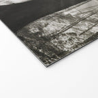 Pathway of light, sunlight and sunbeams in forest black and white photograph by J W Chapman Taylor Welcome Mat Gallery Image 2