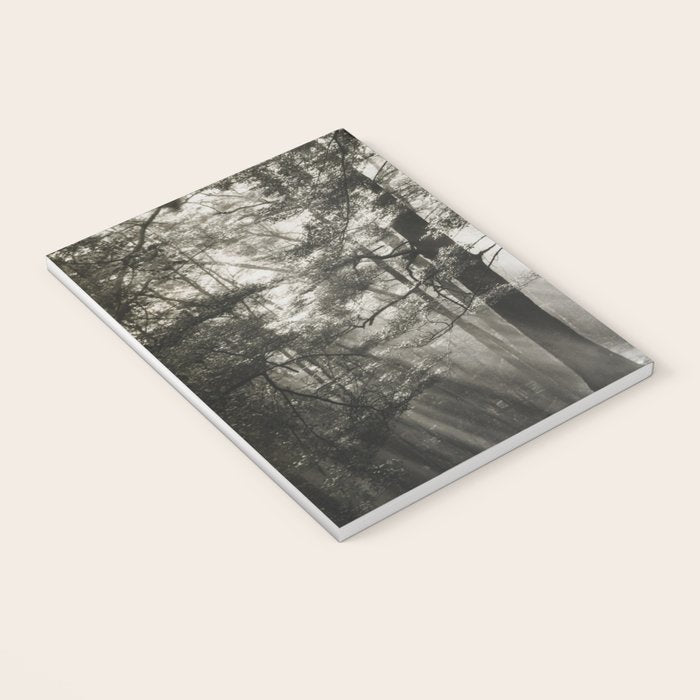 Pathway of light, sunlight and sunbeams in forest black and white photograph by J W Chapman Taylor Notebook Gallery Image 3