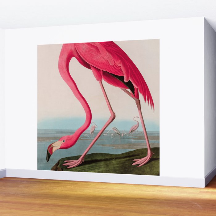 American Flamingo Birds of America Audubon Illustration Bird Lovers Gift Wall Mural Gallery Image 2