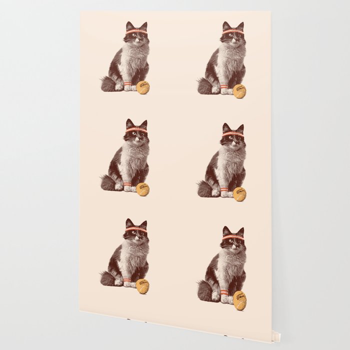 Tennis Cat Wallpaper Gallery Image 2