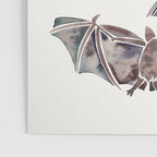Bat Collection Poster Gallery Image 3