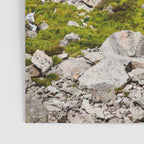 Chasm Lake Waterfall Poster Gallery Image 3