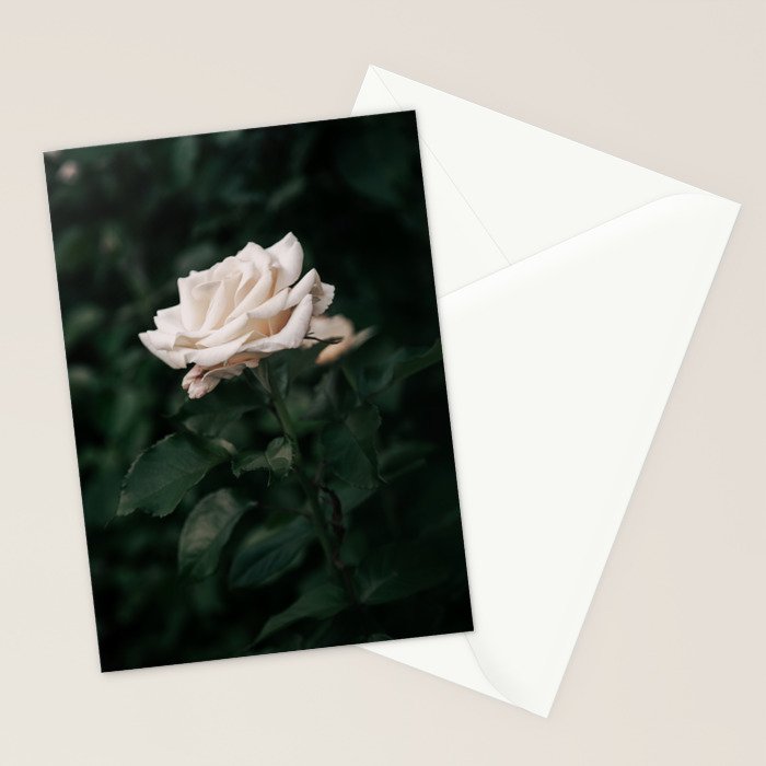 White Rose Stationery Card Gallery Image 2