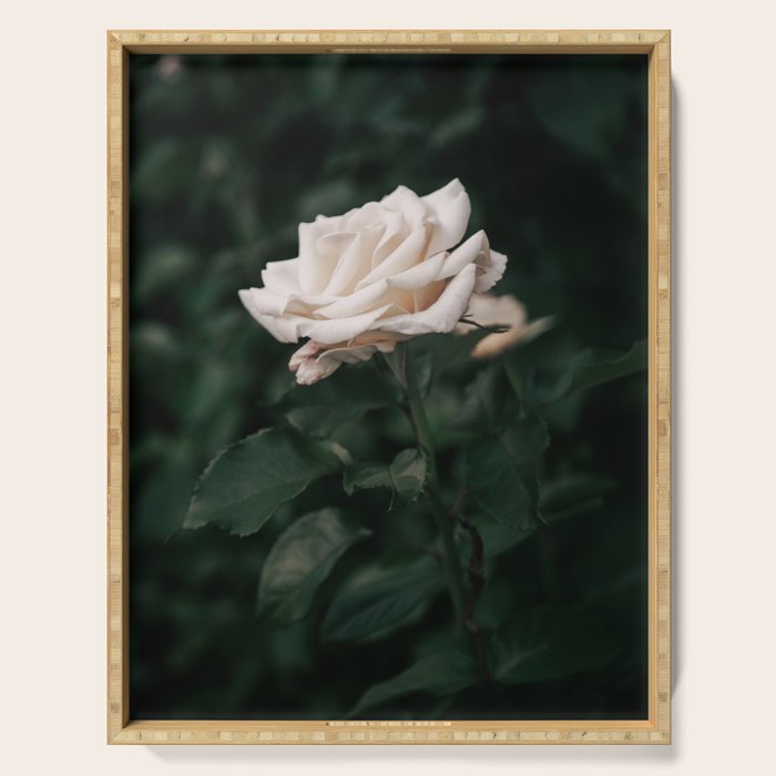 White Rose Serving Tray Gallery Image 1